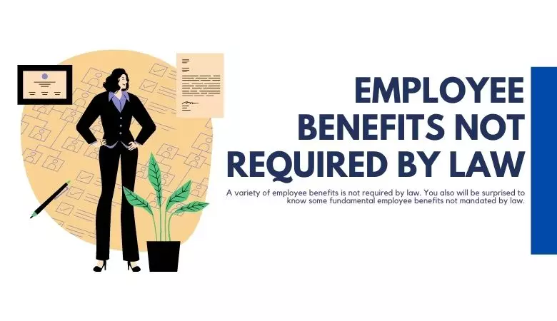 employee benefits not required by law